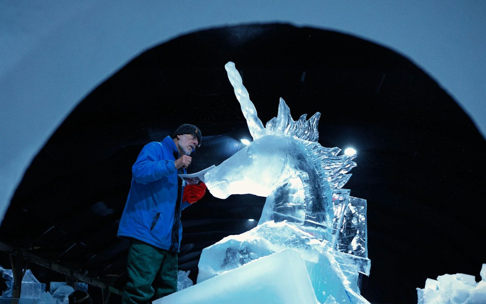 Dutch Ice Sculpture Festival: Entry Ticket