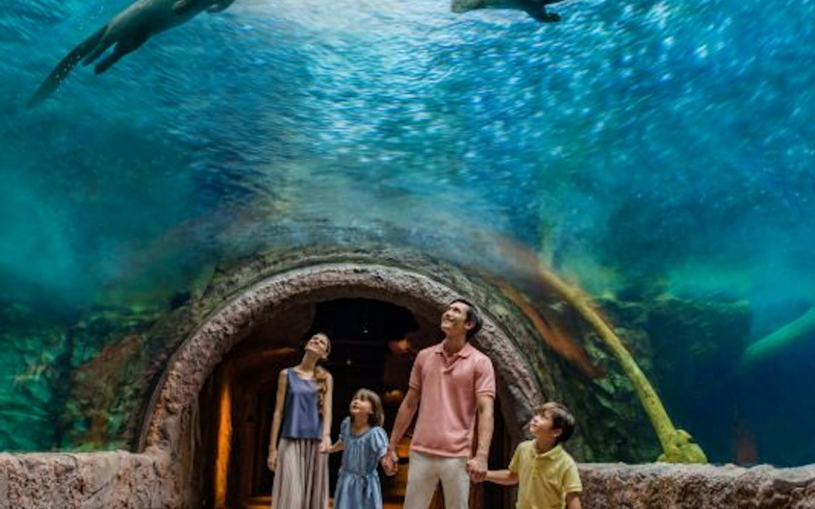 Singapore River Wonders: Entry Ticket