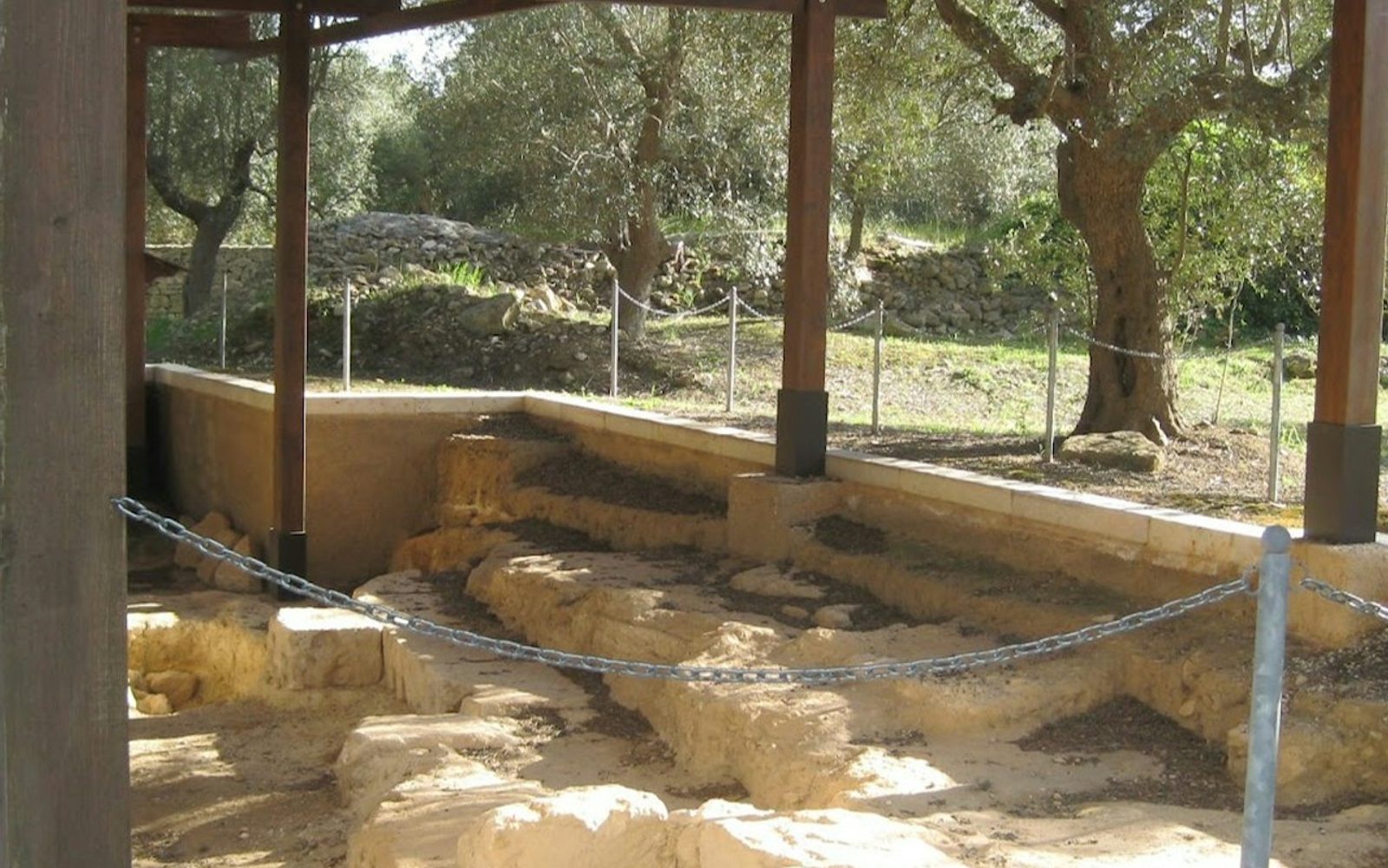 Villa Castelli: Walking Tour with Olive Oil Tasting