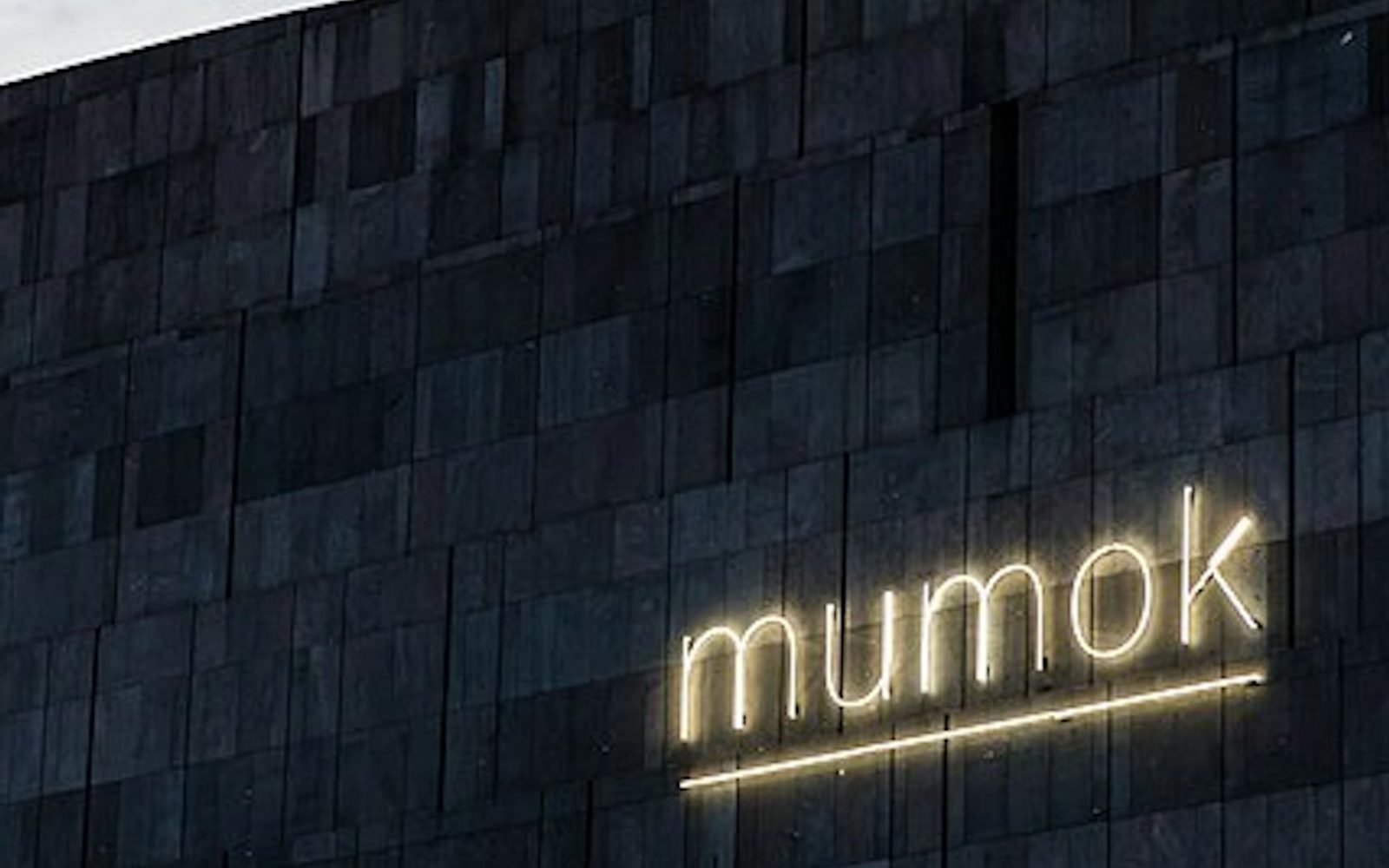 mumok: Museum of Modern Art Ludwig Foundation: Skip The Line