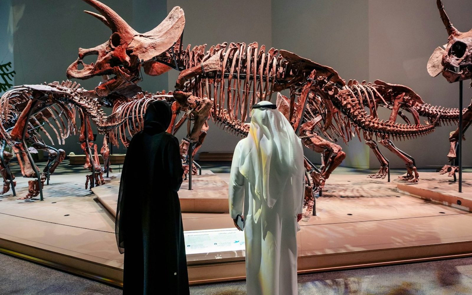 Natural History Museum Abu Dhabi: Entry Ticket
