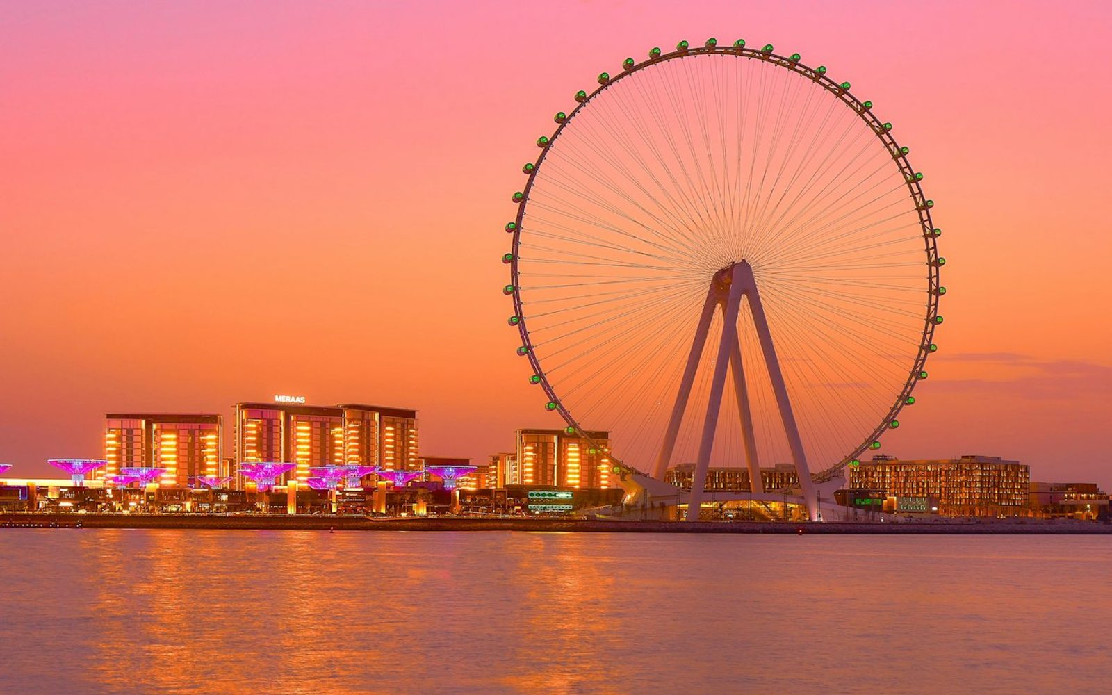 Ain Dubai & 1-Day Access to 1 Dubai Park