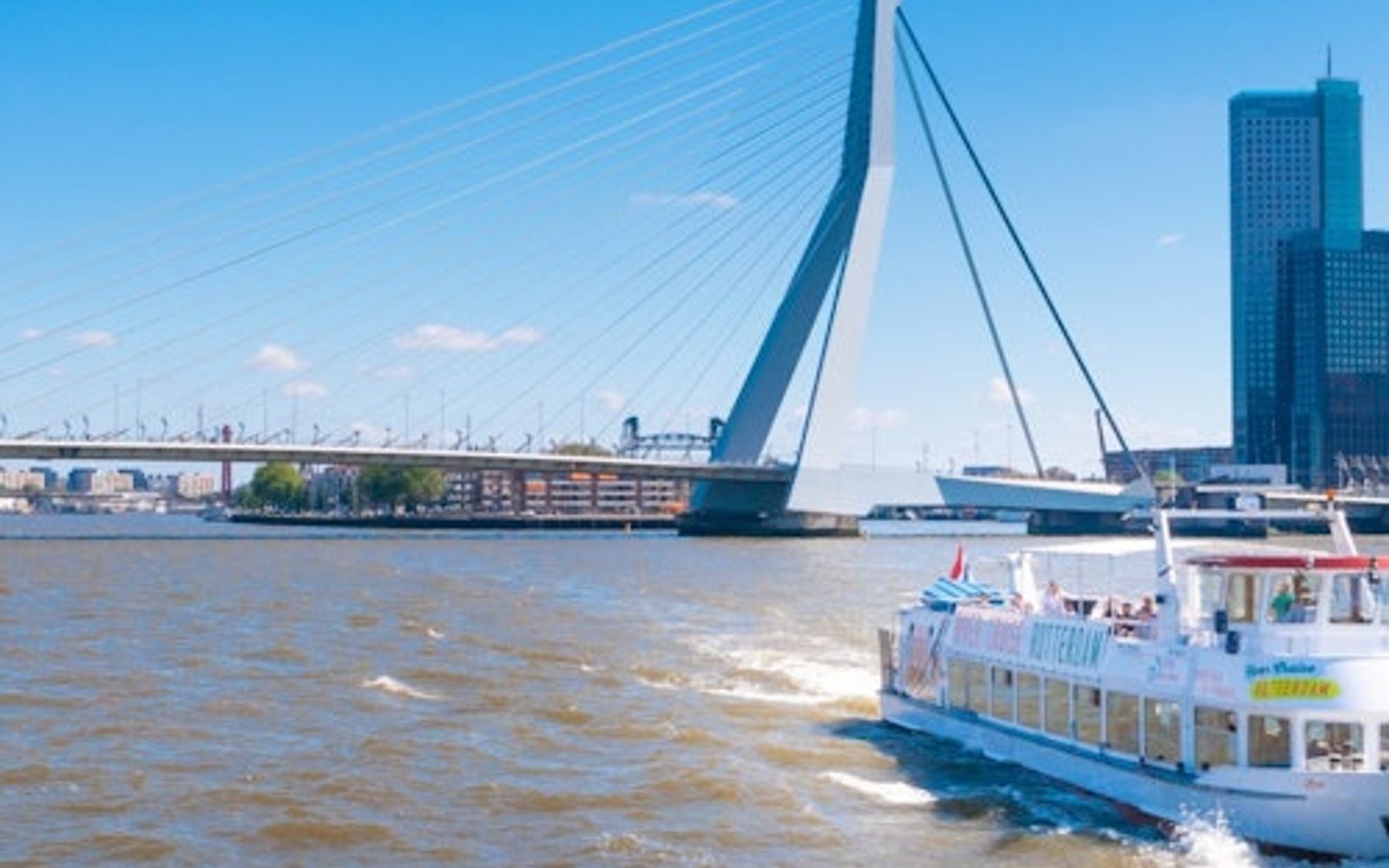 Rotterdam: Harbour Cruise with Live Guide