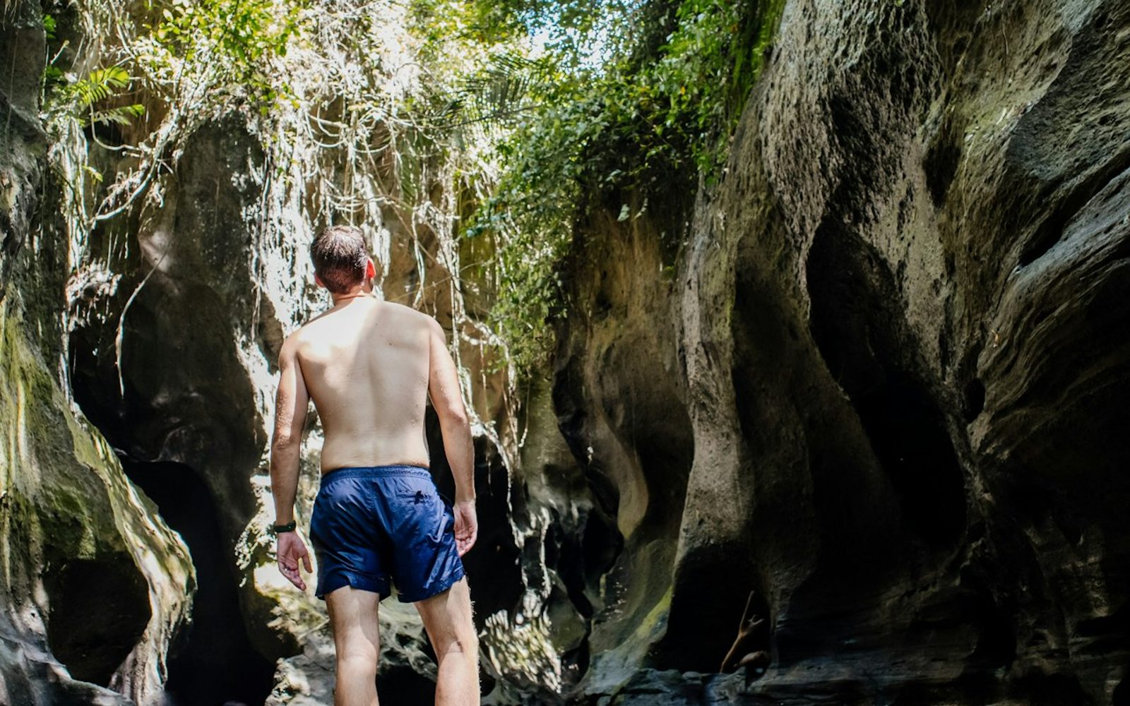 Bali Adventure Tour with Hidden Canyon Trekking and Goa Gajah Temple Visit