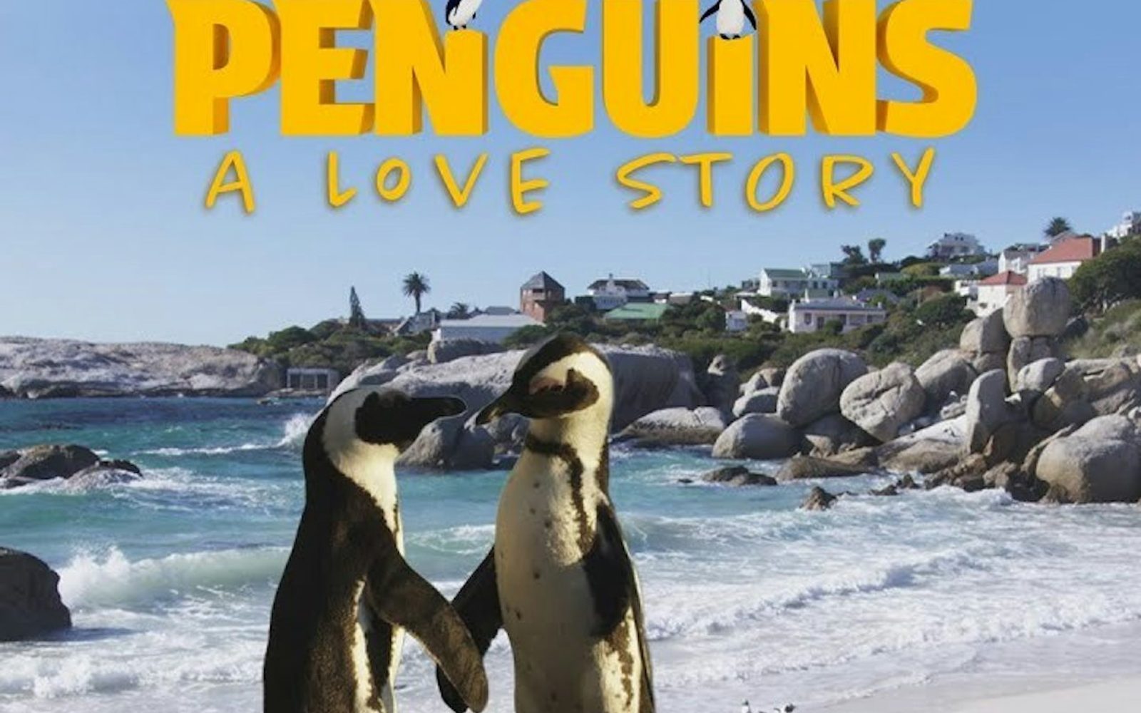 Simons Theatre: Penguins - A Love Story Film
