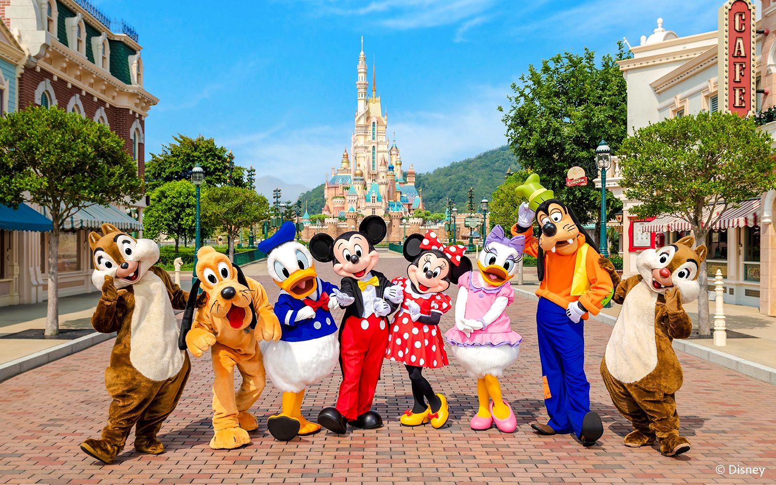 Hong Kong Disneyland VIP Tour with English Guide(Up to 6 guests)