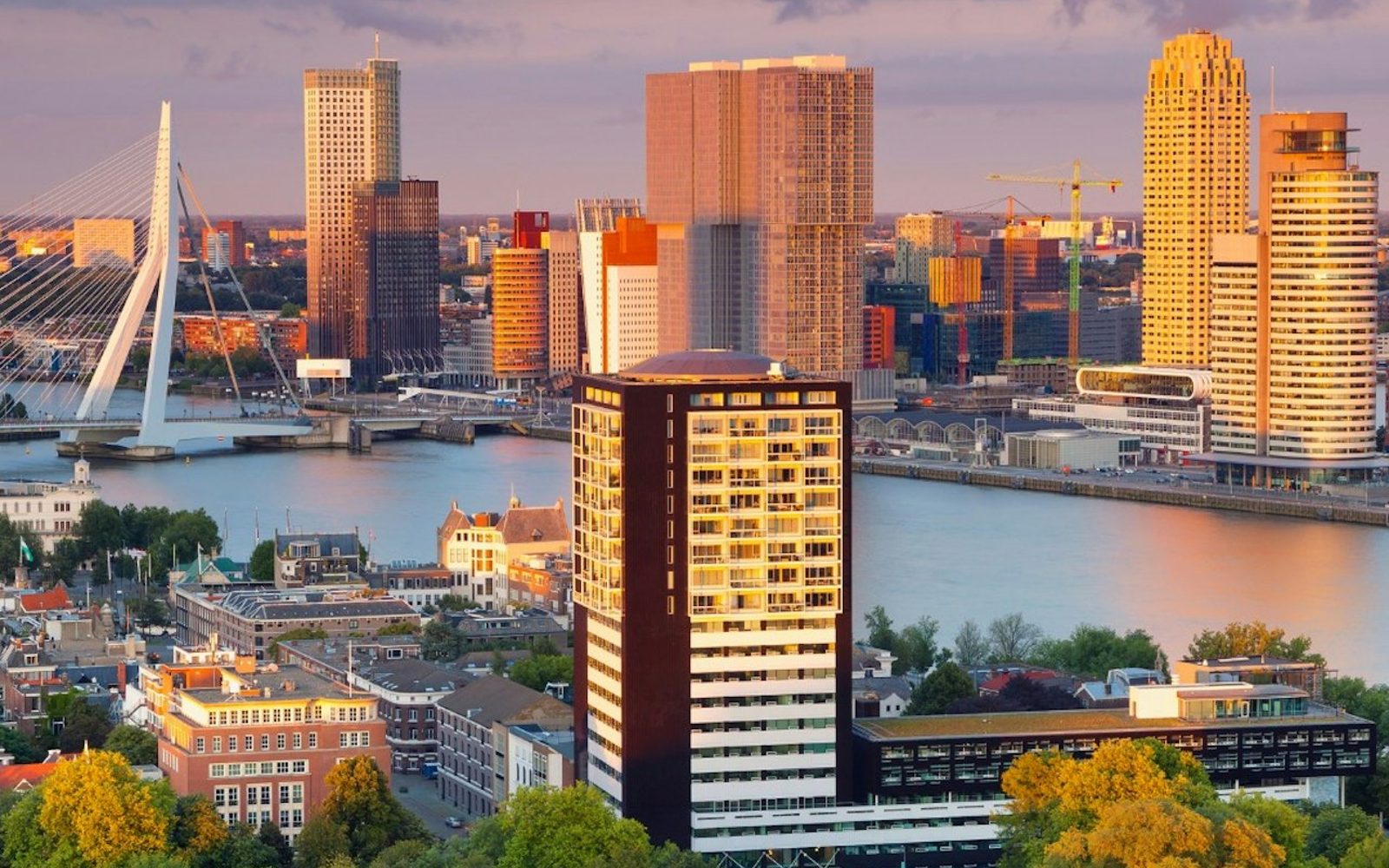 Private Airport Transfer (Schiphol To/From Rotterdam)