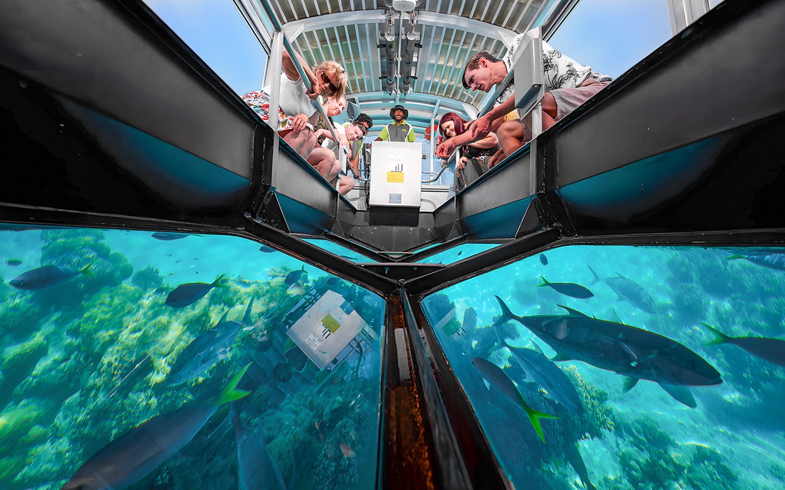 Cairns to Green Island Full/Half-Day Cruise with Glass Bottom Boat Tour