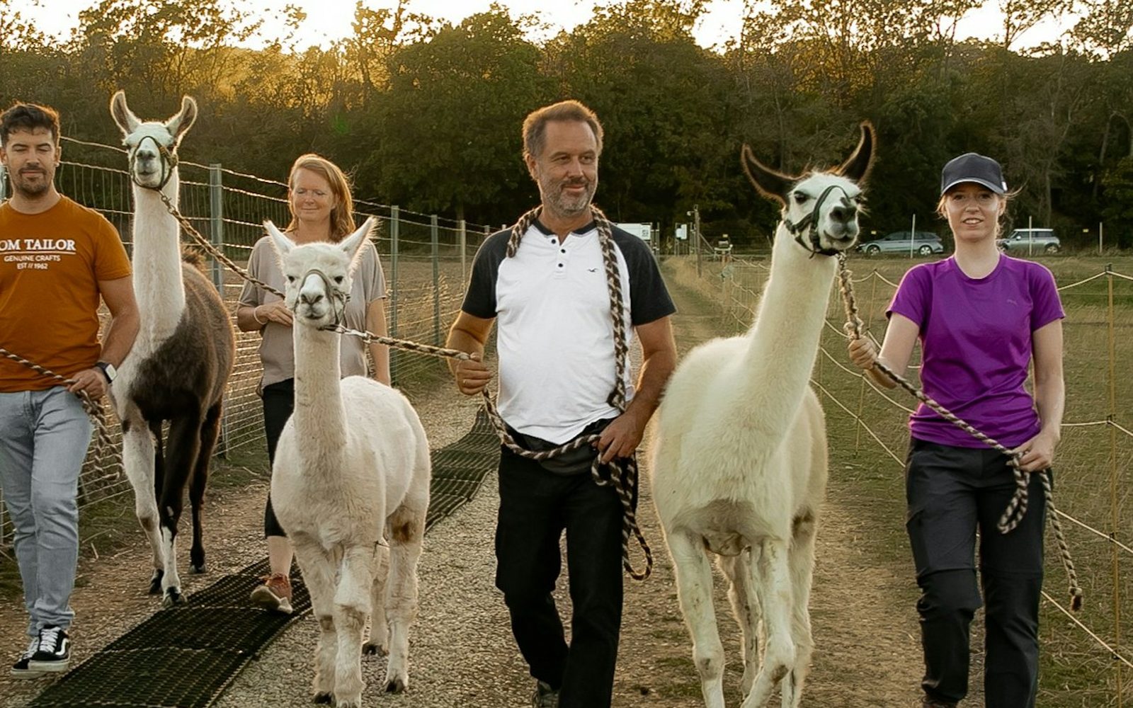 Mödling Vienna: Alpaca & Llama Hiking Tour