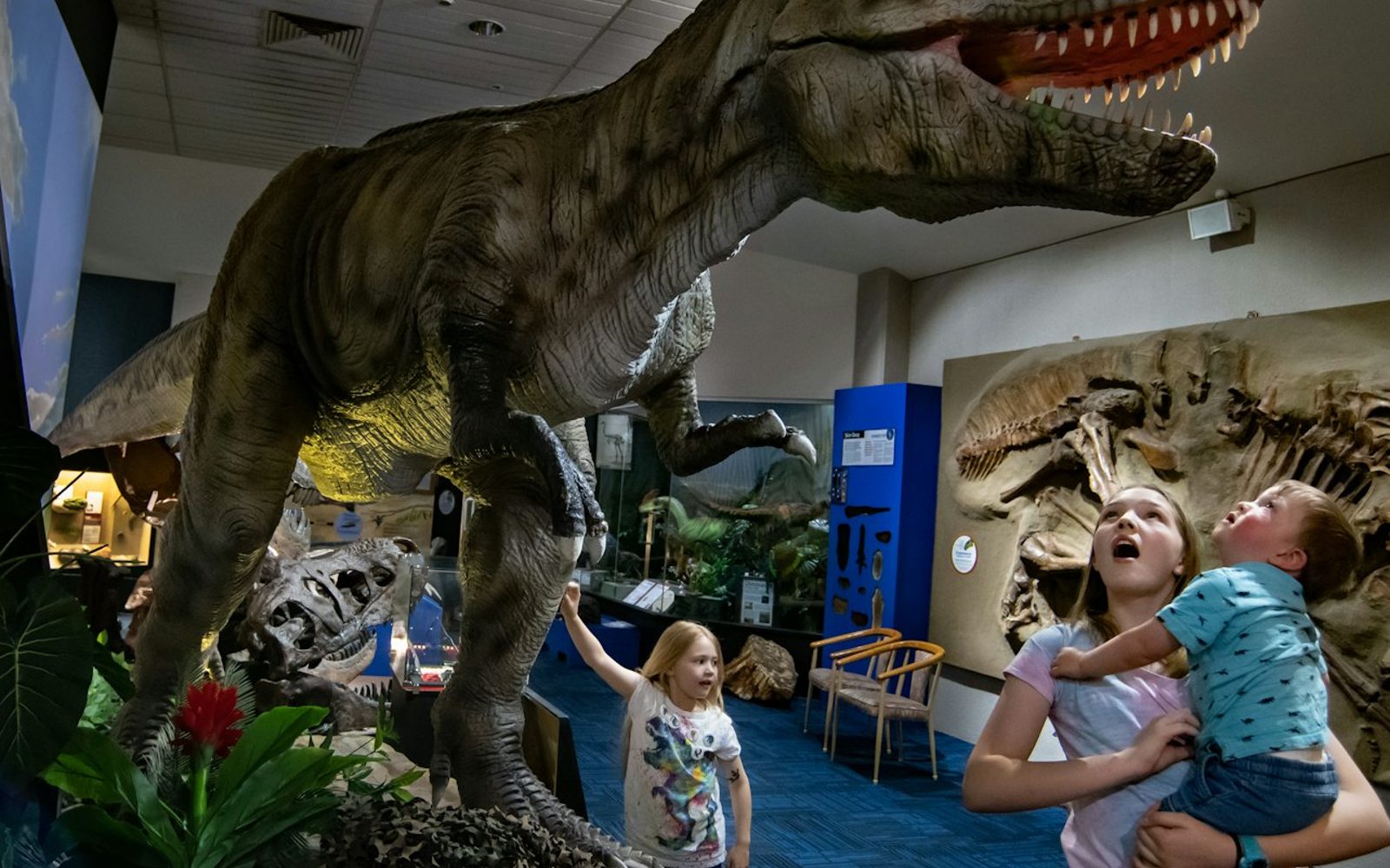 National Dinosaur Museum: Skip The Line Ticket