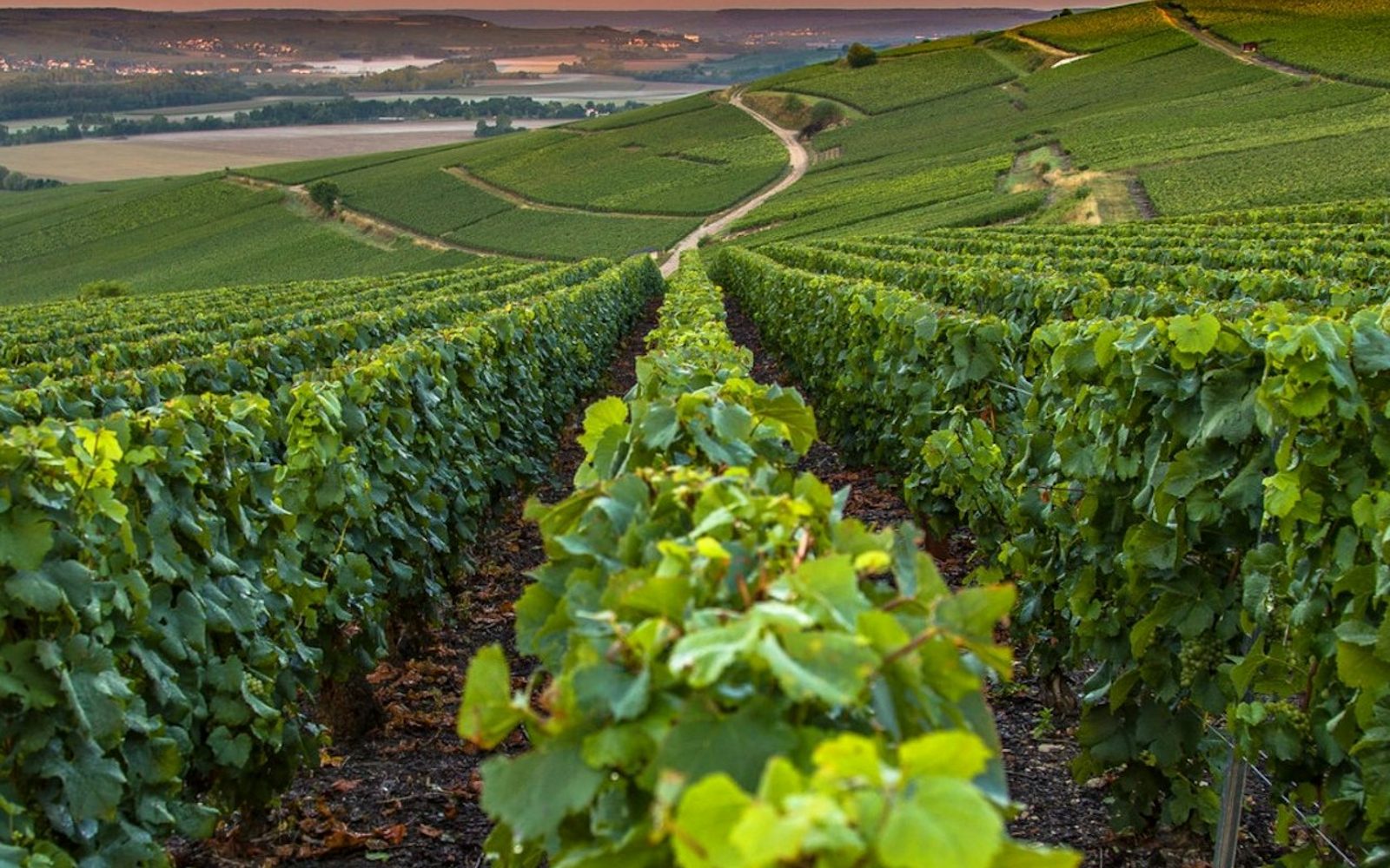 French Riviera: Nice, Gorges du Loup Waterfall + Wine and Tasting Day Tour