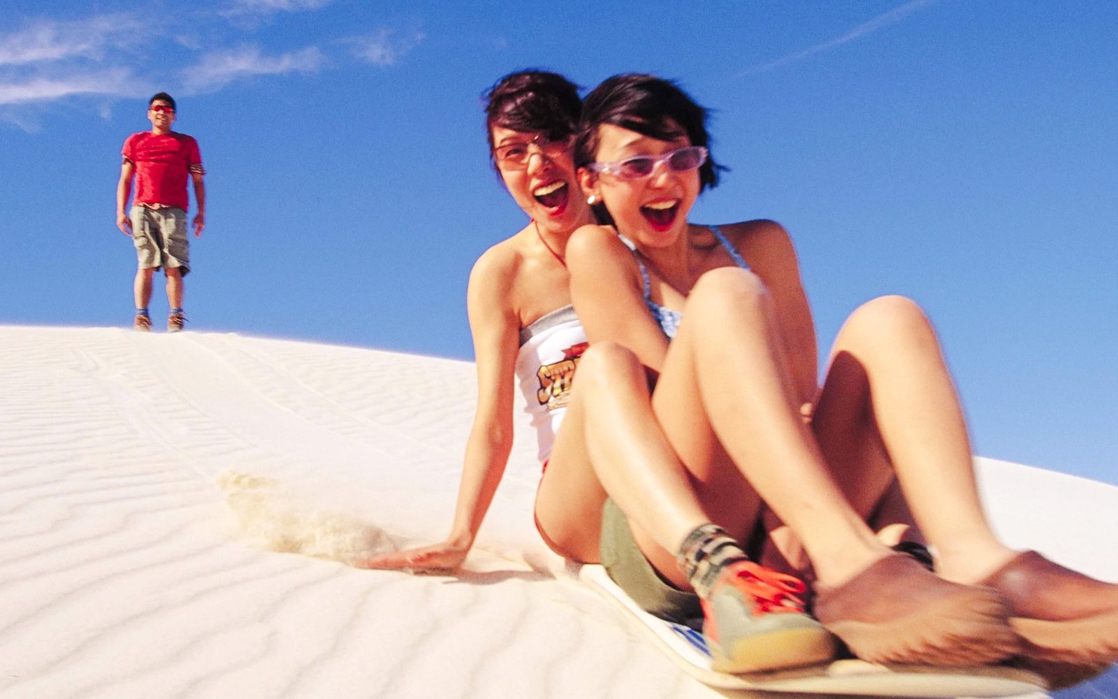 Pinnacles, Sandboarding & Wildlife Spotting 4WD Tour with Lunch & Round-Trip Transfers
