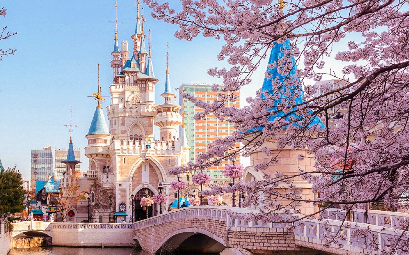 Discover Seoul Pass: 70+ Attractions