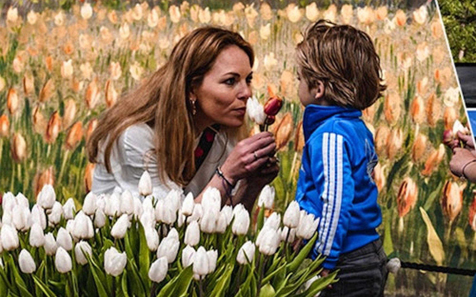 Keukenhof & Tulip Experience: Entry Ticket + Return Bus Transfer