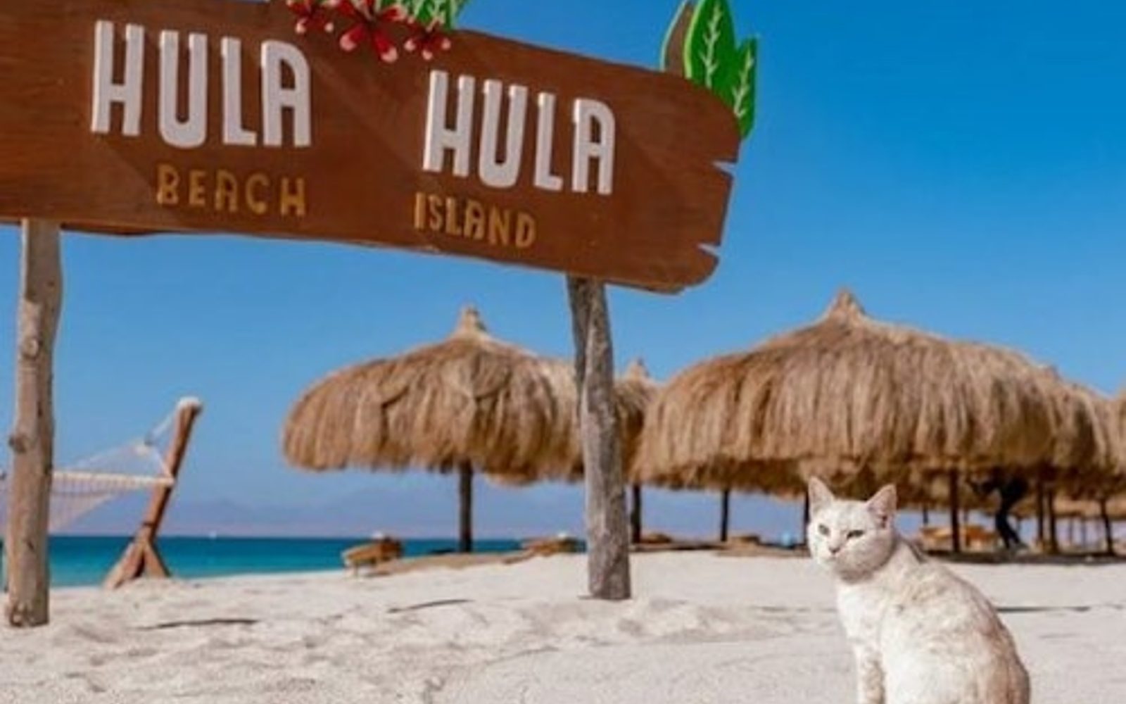 Đảo Hula Hula: Du thuyền có hướng dẫn từ Hurghada + Lặn với ống thở + Bữa trưa