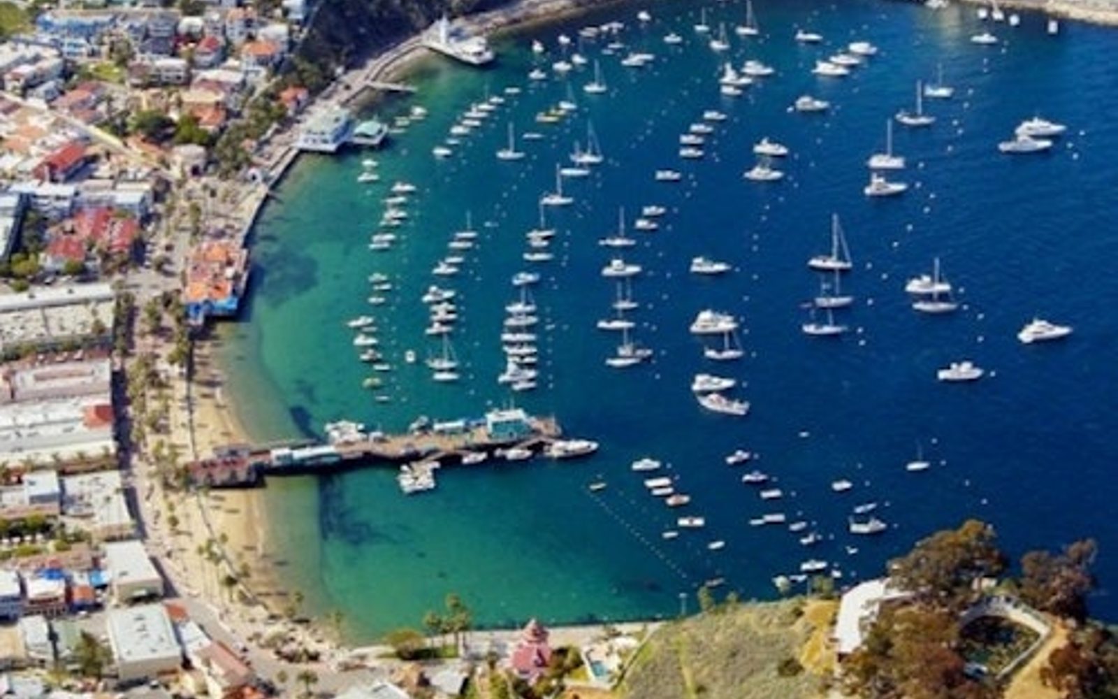Illa de Catalina: Excursió d'un dia + Tour panoràmic en cotxe