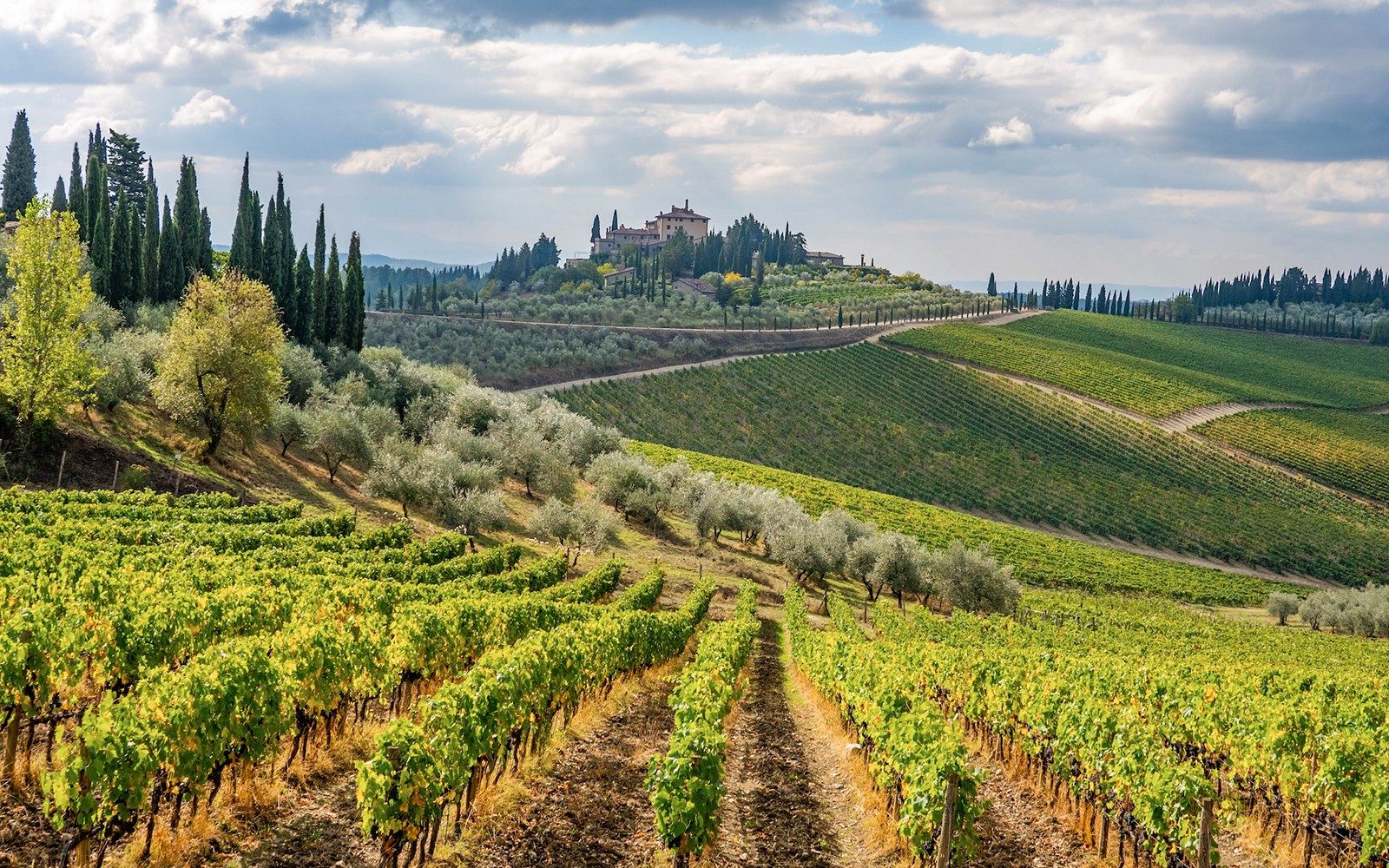 Tour guidato in e-bike di 3 ore nel Chianti con degustazione di vini