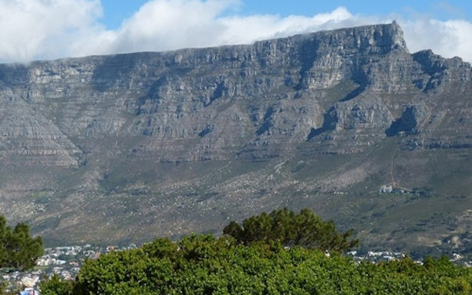 Cape Town: Half-Day City Tour