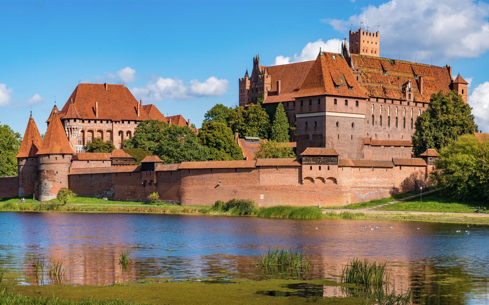 Da Danzica: Tour guidato del Castello di Malbork