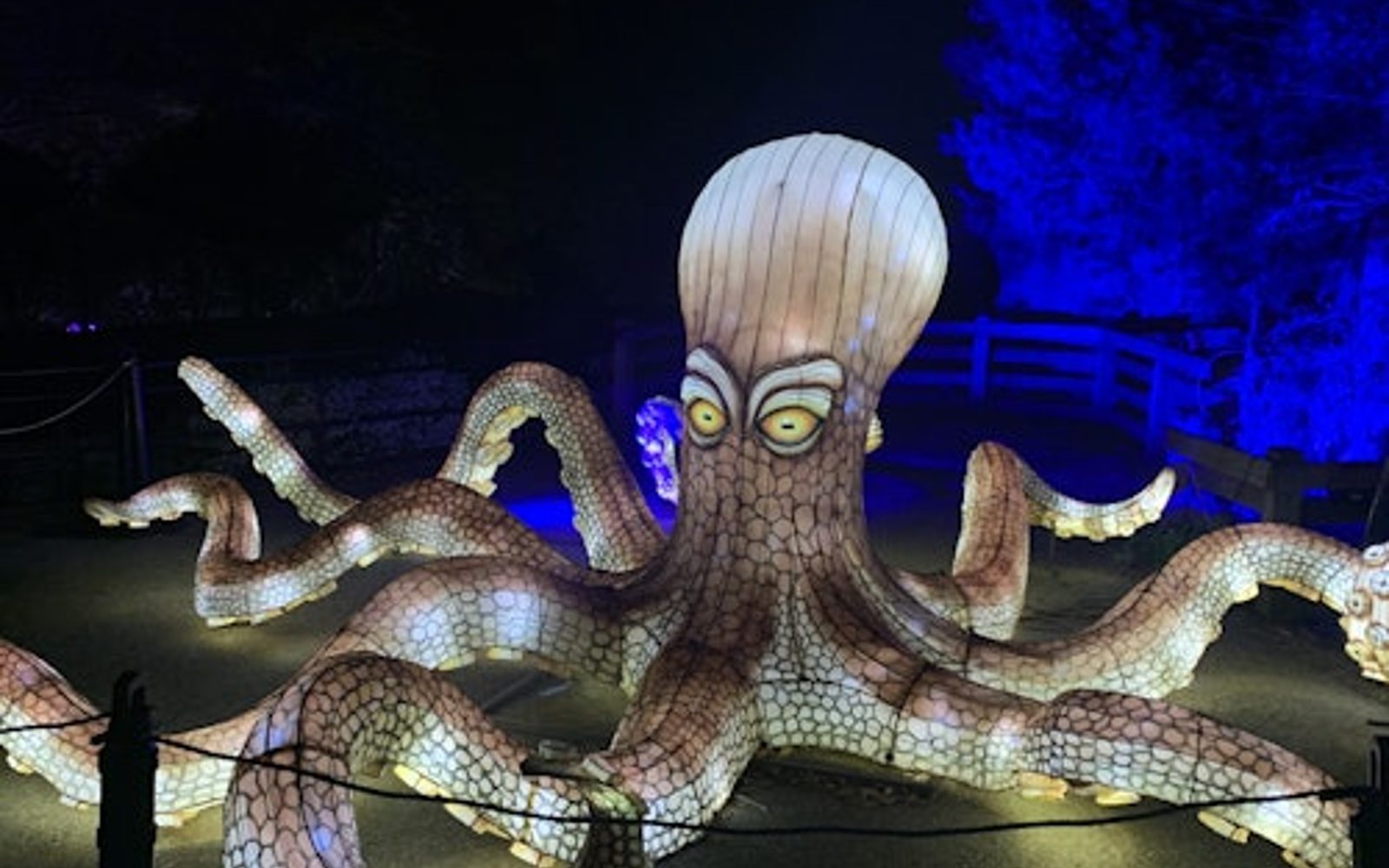 Zoo Atlanta: IllumiNights