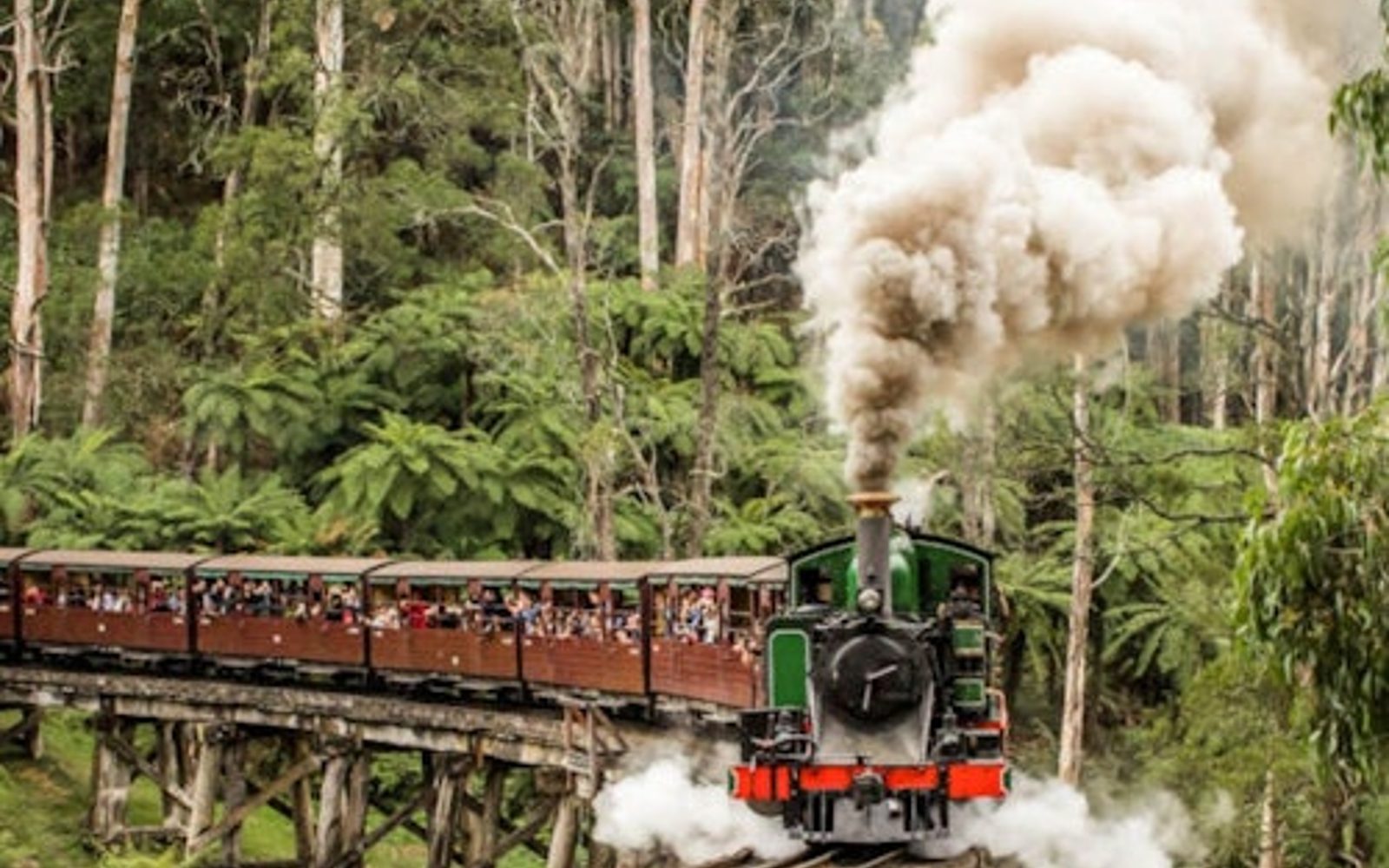 Puffing Billy Steam Train: Belgrave to Gembrook Return Ticket