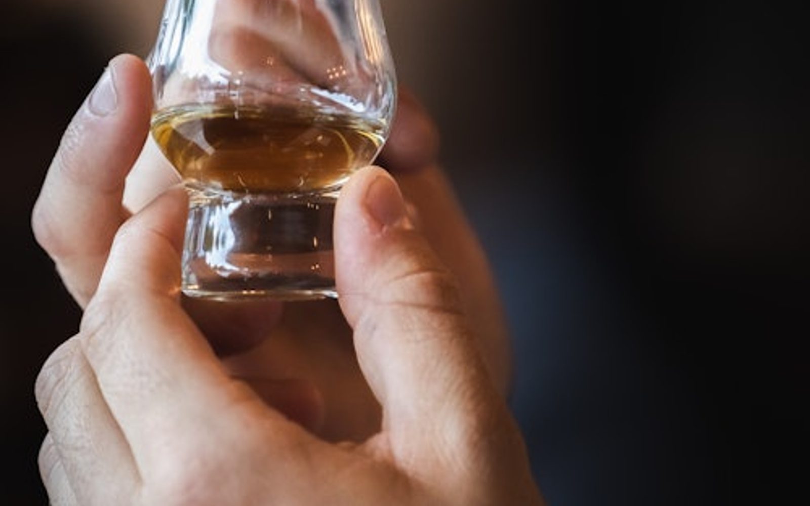 Explorador da Costa de Moray, Vida Selvagem e Whisky de Speyside a partir de Inverness