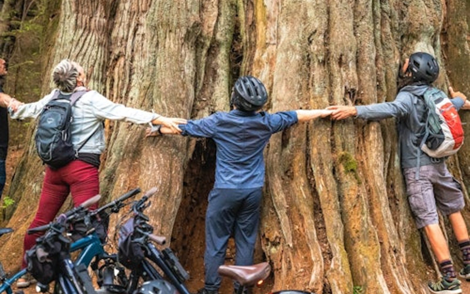 Vancouver: Familietur på cykel i Stanley Park