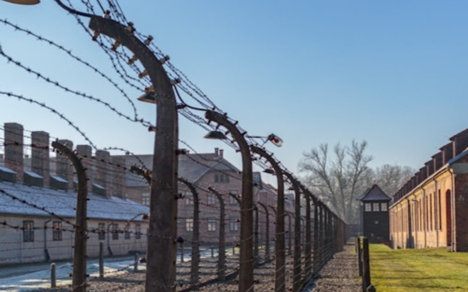 Auschwitz-Birkenau: Tur ghidat + Transport