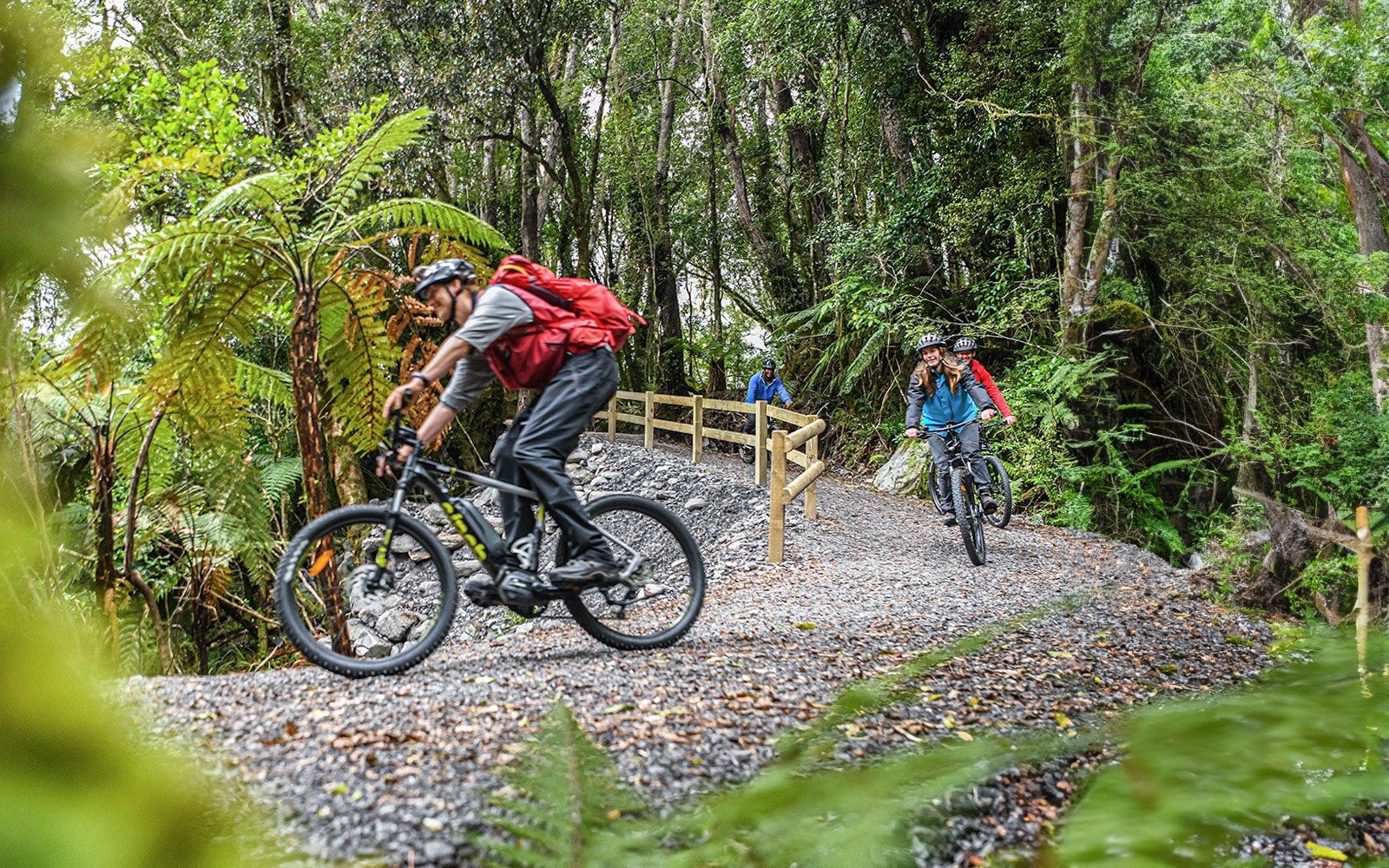 Geführte E-Bike- und Wandertour im Fox-Gletscher-Tal