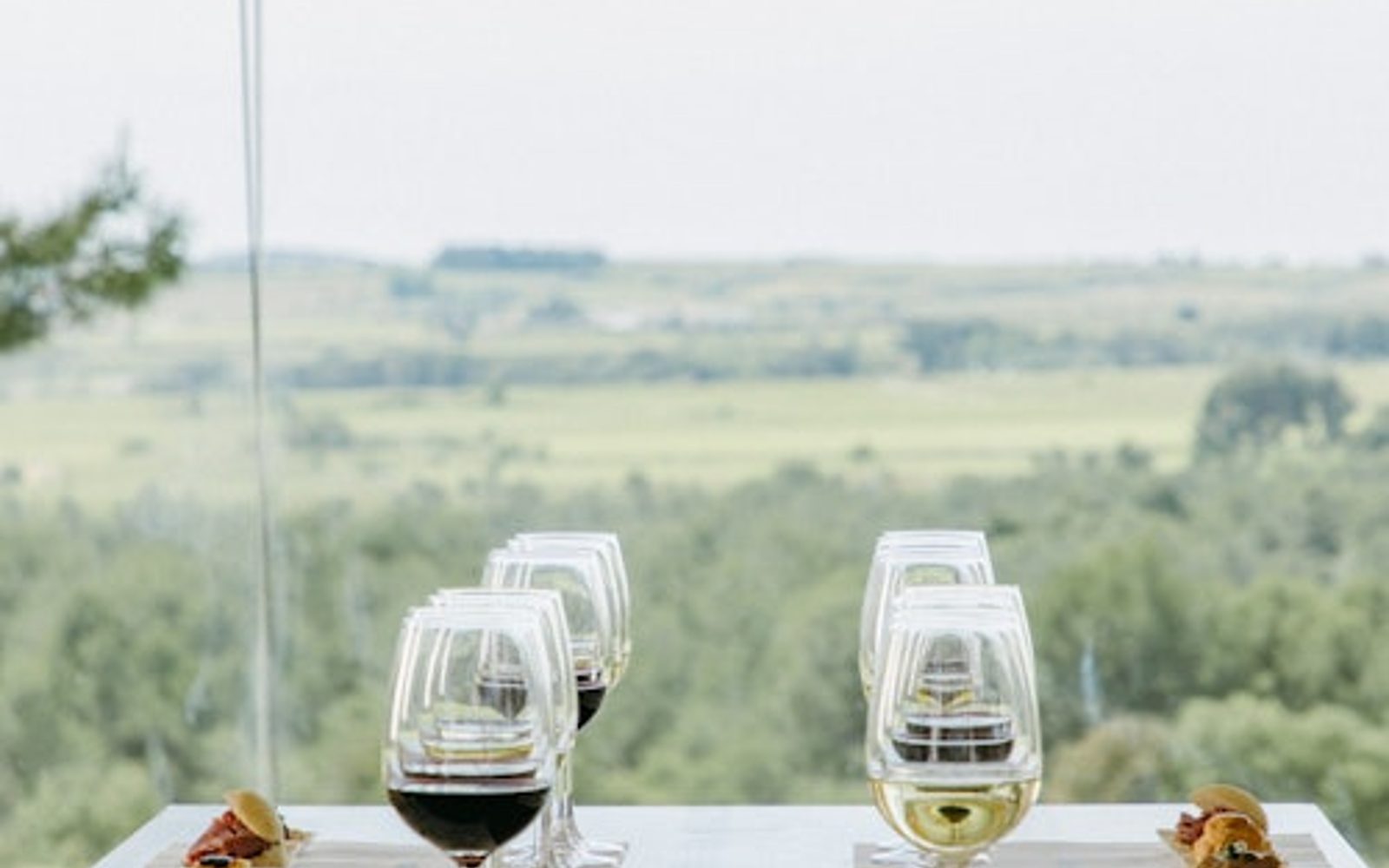 Jean Leon Winery: Guided Tour + Wine & Tapas Pairing