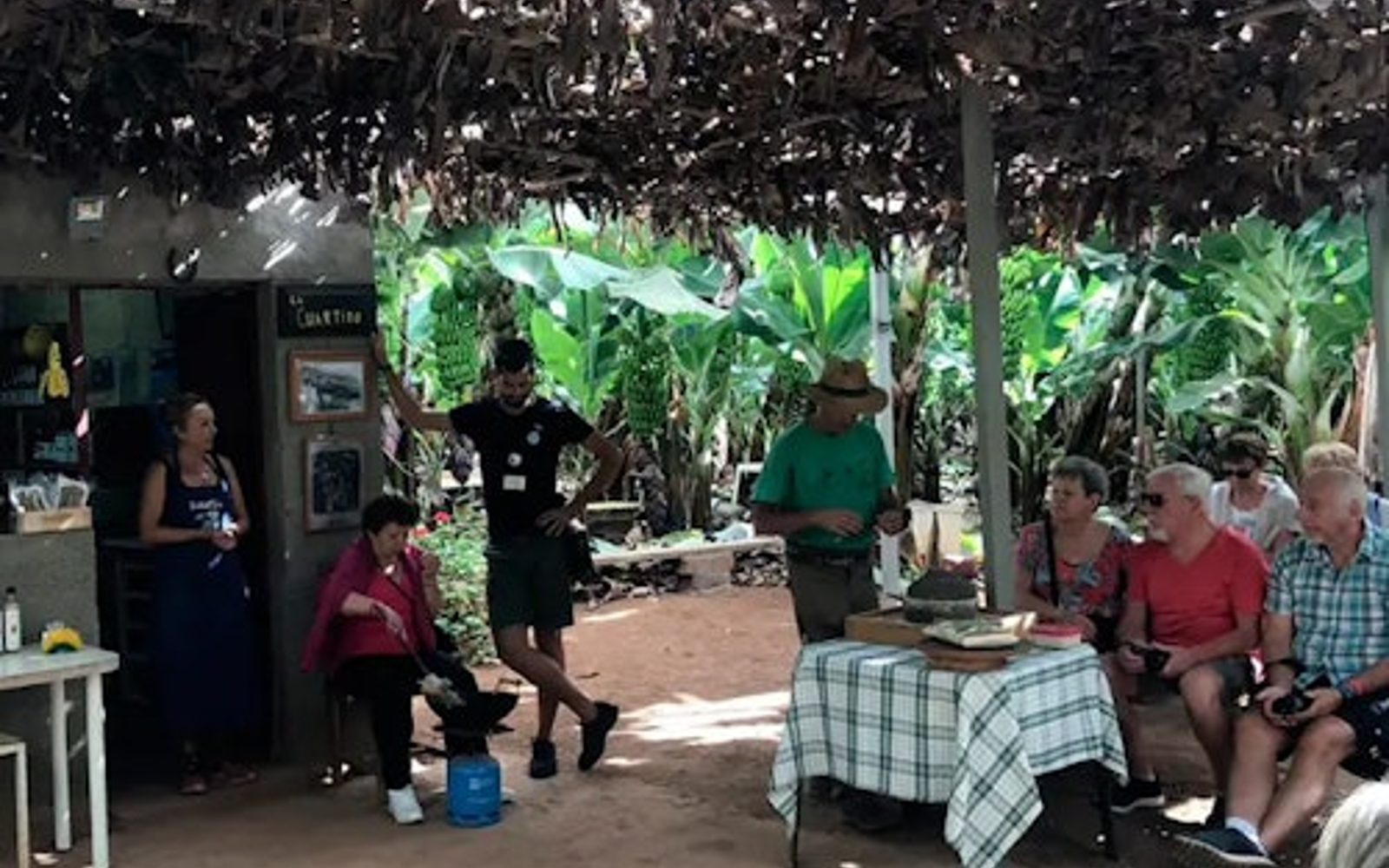 Tenerife: Tour por Plantación de Bananas y Bodega + Degustación de Vinos