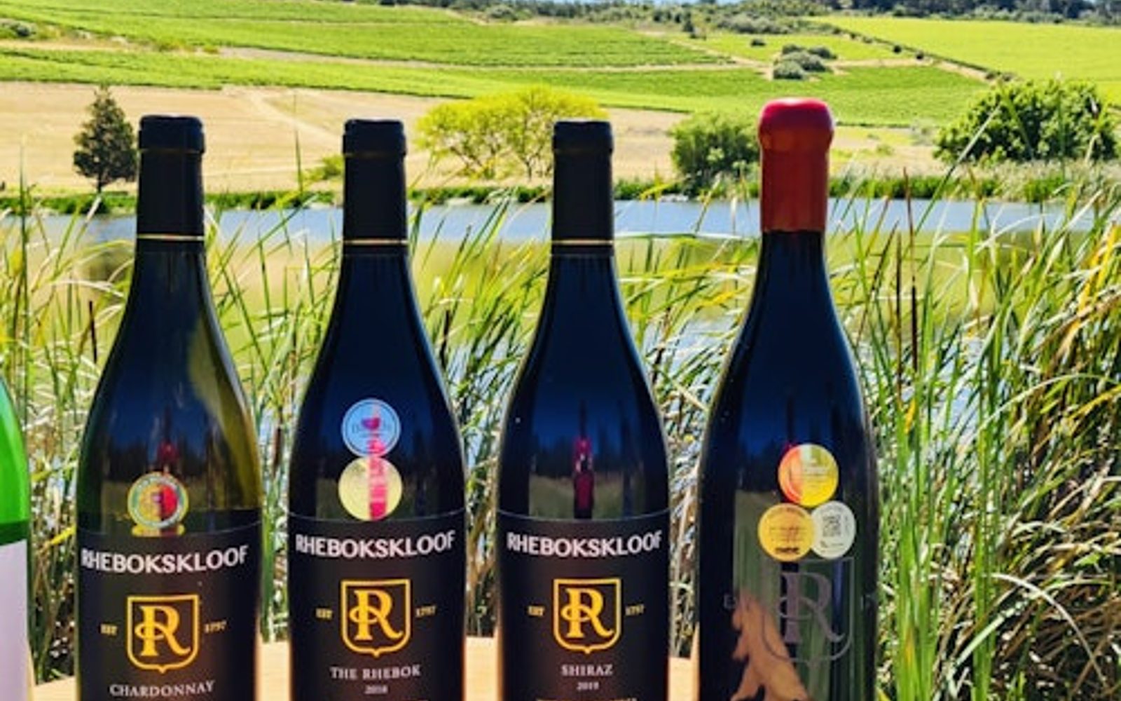 Paarl, Franschhoek, Stellenbosch Region Explorer Wine Tour