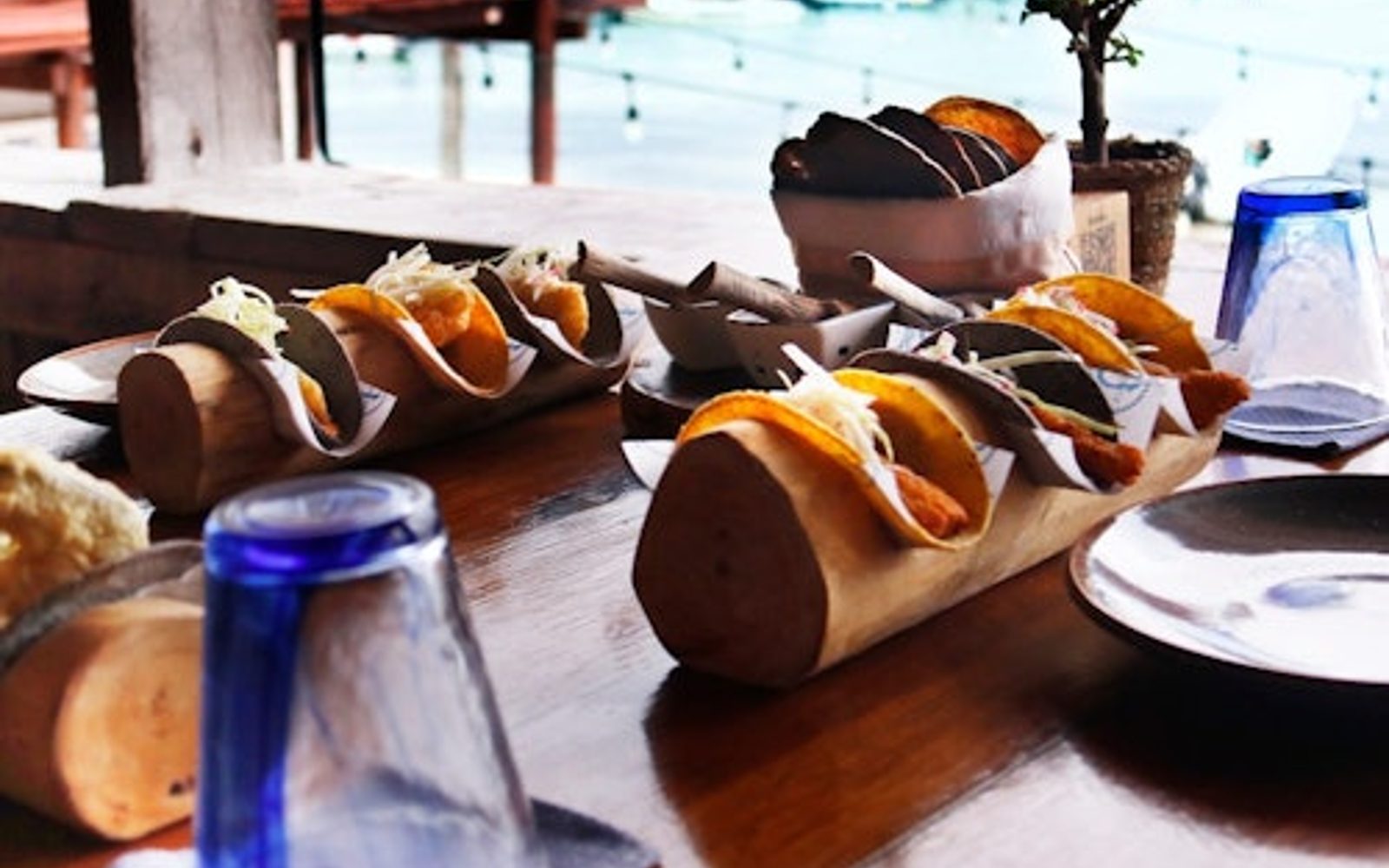 Puerto Morelos: Guidad Taco- och Tequilaprovning + Tur och Retur Transfer
