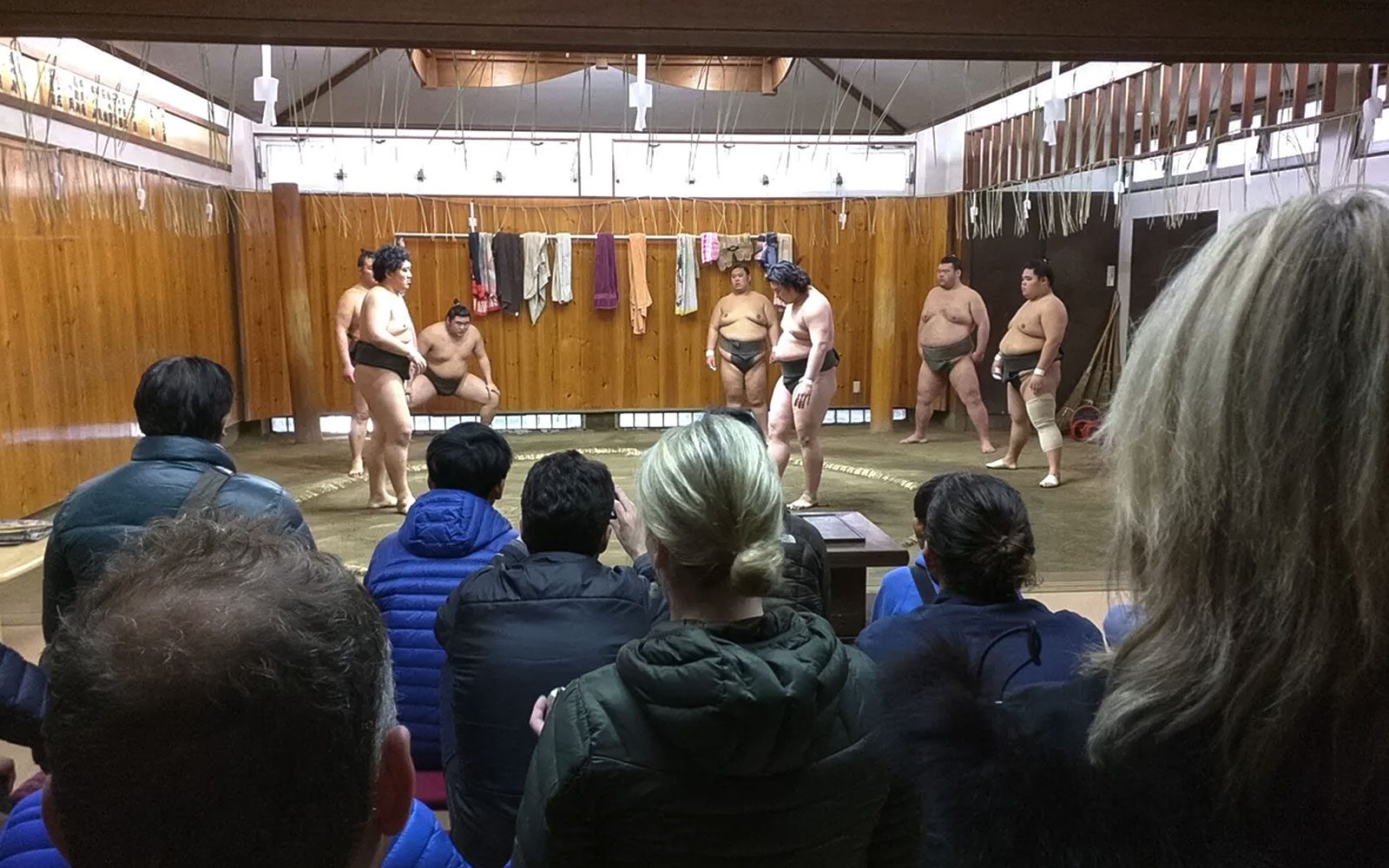 東京相撲早上訓練的門票