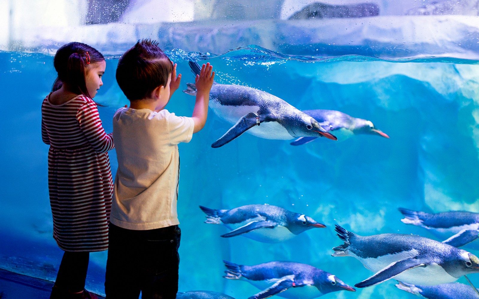 SEA LIFE London Aquarium: Anytime Entry Tickets