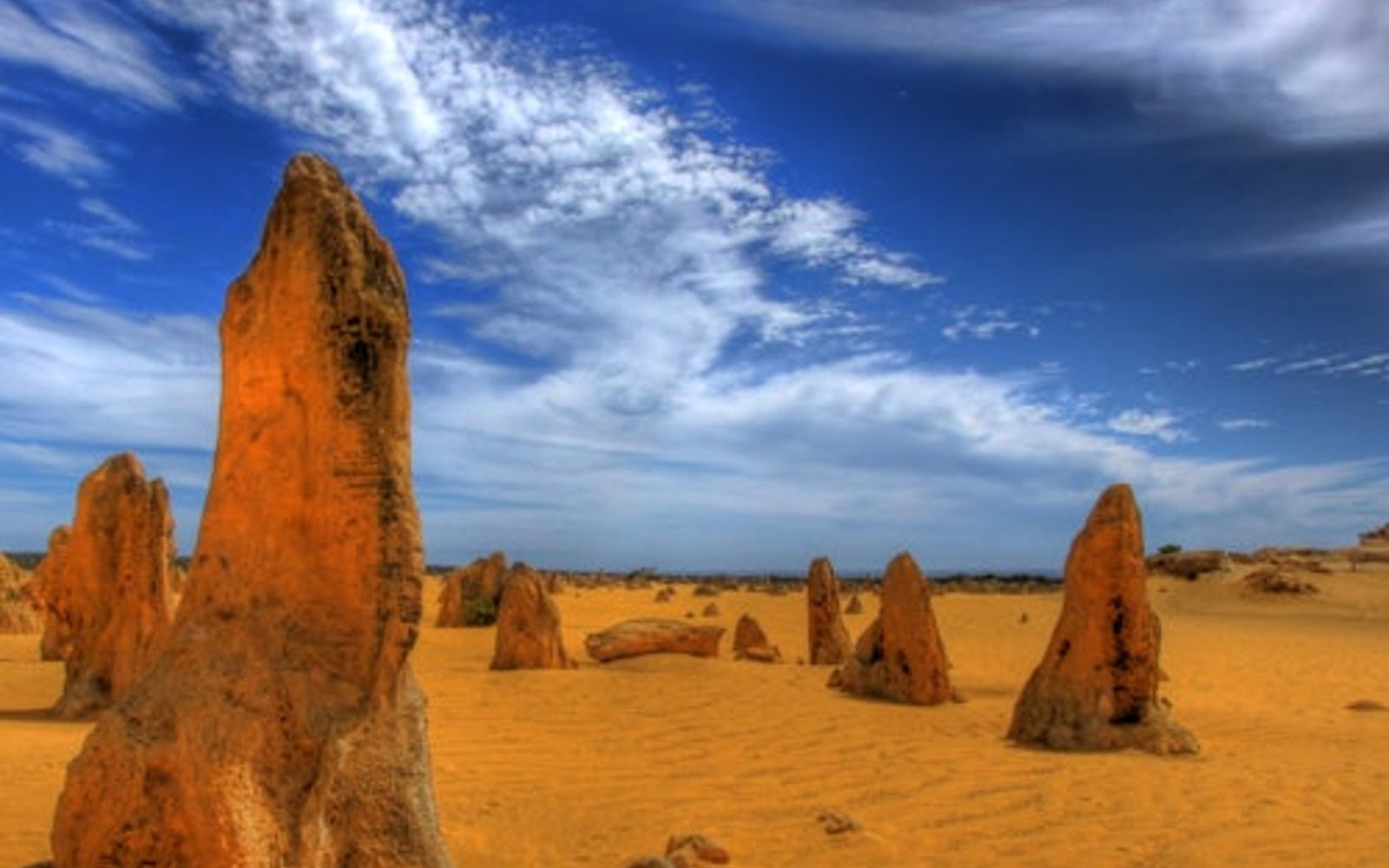 Červencová poušť Pinnacles a Caversham Wildlife Park: Prohlídka + Sandboarding + Vyjížďka na 4WD