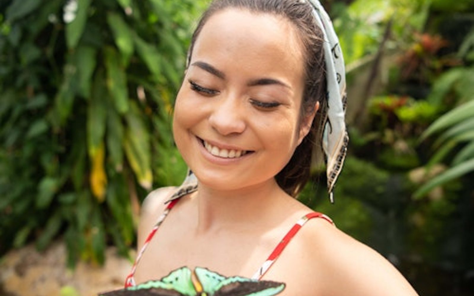 Australian Butterfly Sanctuary: Entry Ticket