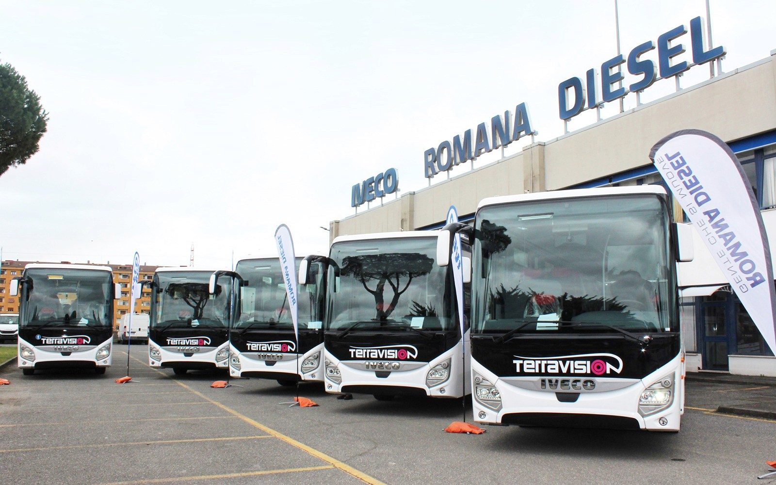 Transferuri cu autobuzul: Aeroportul Roma Ciampino către/dinspre Centrul Orașului Roma cu Terravision