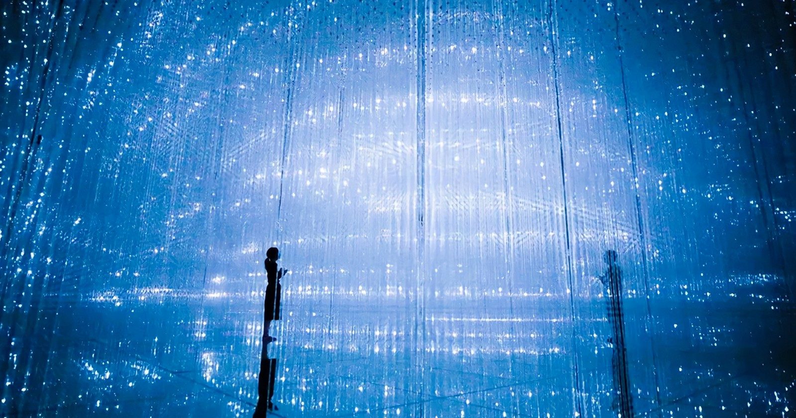 A Digital Paradise: Exploring Tokyo's Most Instagram-Worthy Spots
