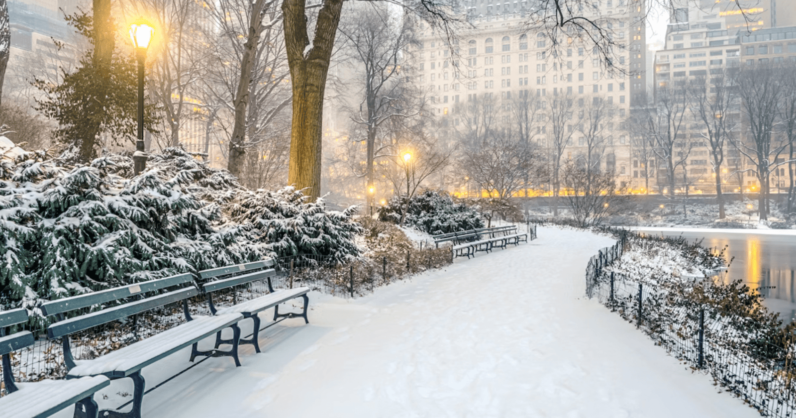 Winterzauber: Ihr vollständiger Leitfaden für Central Park Aktivitäten