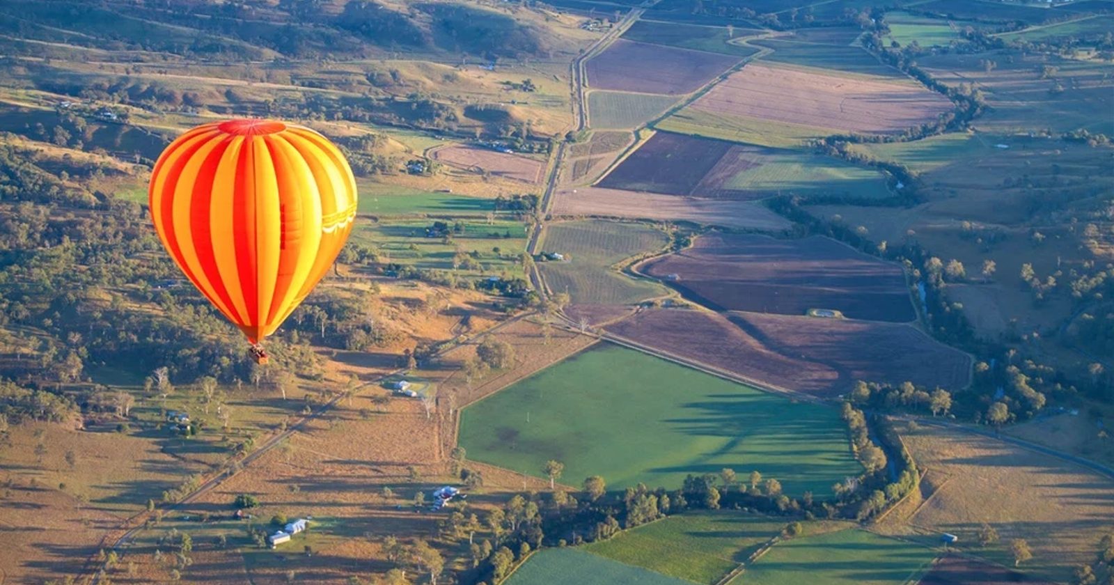 Tervetuloa Brisbanen Ultimate Wildlife Adventureen
