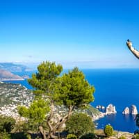 Full-Day Private Capri Tour from Naples