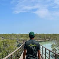 Jubail Mangrove Park: Boardwalk Experience Tour