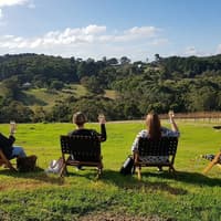 Yarra Valley: Guided Premium Lunch & Wine Tasting + Transfers