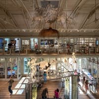 ARTIS Amsterdam Royal Zoo & Groote Museum: Skip-the-Line Entry Ticket — gallery 3