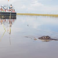 Fort Lauderdale: Florida Everglades Adventure Package