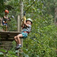 Treetops Adventure: Belgrave Park