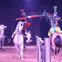 Tenerife Medieval Adventure — gallery 3