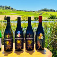Paarl, Franschhoek, Stellenbosch Region Explorer Wine Tour — gallery 1