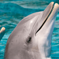 Tickets to Barcelona Zoo — gallery 3